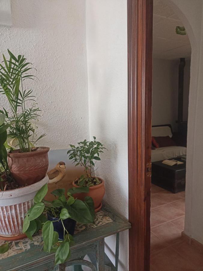Ventura Accommodatie bij particulieren *